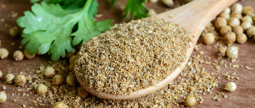 Coriander Powder 1