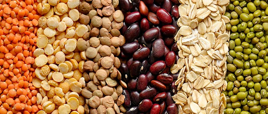 A Comprehensive Guide Lentils Legumes Beans and Pulses