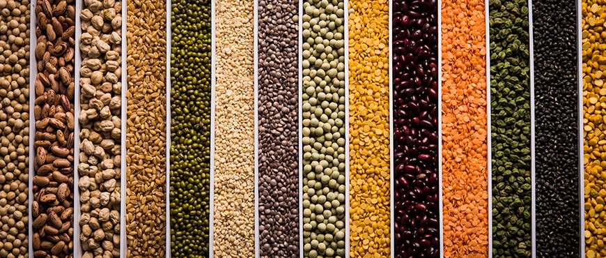 Pulses The Secret to Better Health Skin and Hair